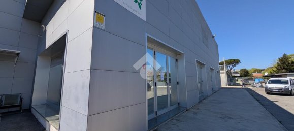 1غرفة مستودع في Pomezia, Italy رقم 52461 8