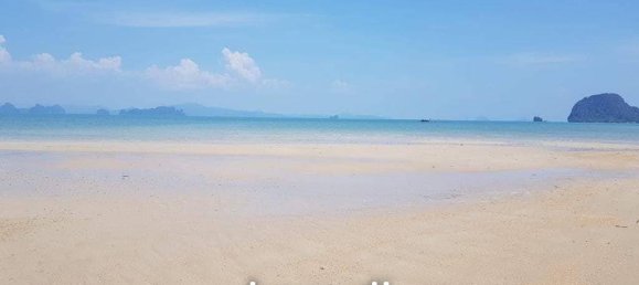  Commercial property in Phang Nga, Thailand No. 19651 3