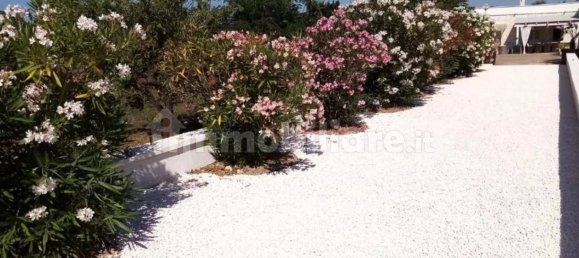 10 غرف نوم منزل في Ceglie Messapica, Italy رقم 221439 2