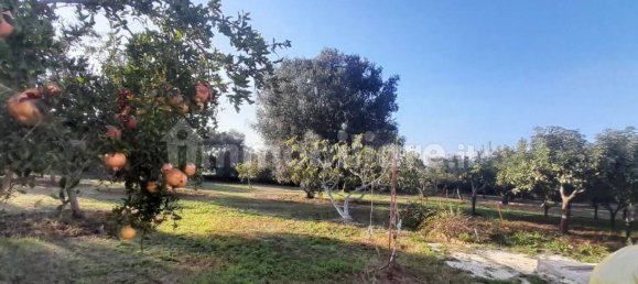 10 غرف نوم منزل في Ceglie Messapica, Italy رقم 221439 17