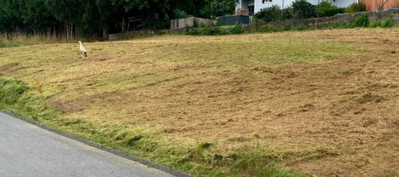 Terreno en Hitzendorf, Austria No. 203270 2