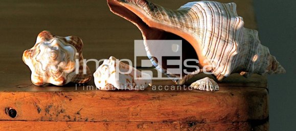 4 rooms Apartment in Istrana, Italy No. 82433 3