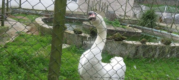 6 chambres Maison à Mafra, Portugal No. 96615 28