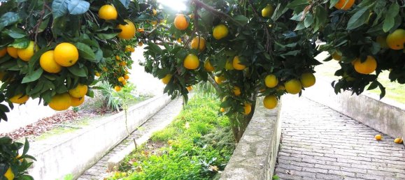 6 chambres Maison à Mafra, Portugal No. 96615 24