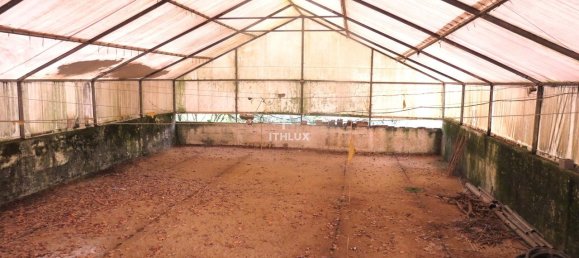 6 chambres Maison à Mafra, Portugal No. 96615 17