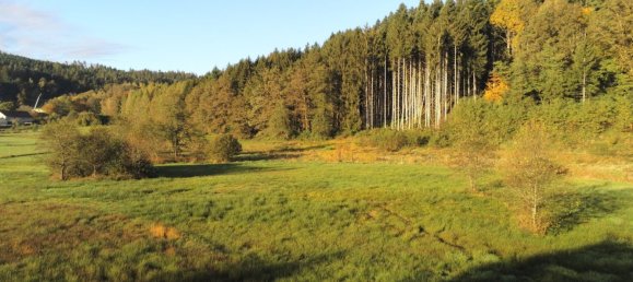 2 chambres Maison à Anould, France No. 210444 15