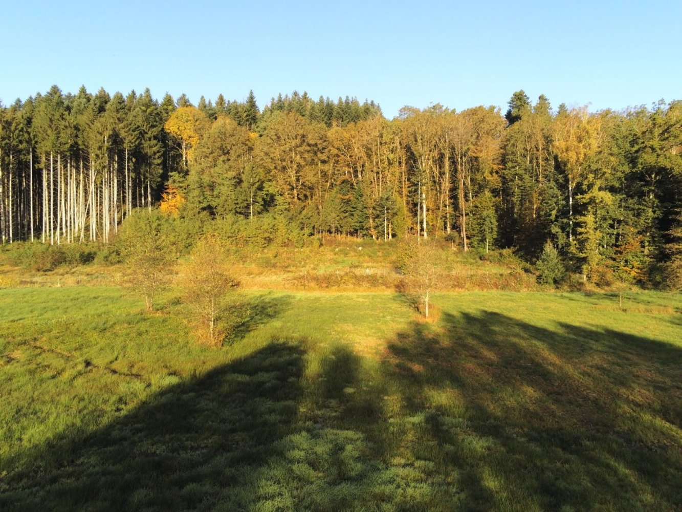 2 chambres Maison à Anould, France No. 210444