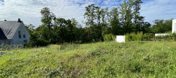 1372m² Land in Sierentz, France No. 67457 2