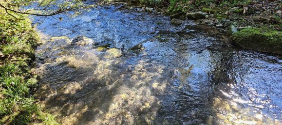 2-Zimmer Haus in Banios, France, Nr. 207692 6