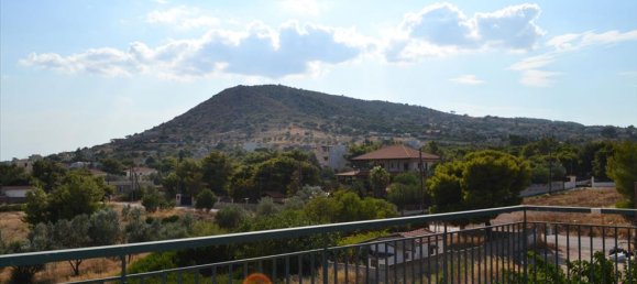 7 chambres propriété commerciale à vendre à Koropi, Kropia, East Attica, Attica, Greece № 7034 13