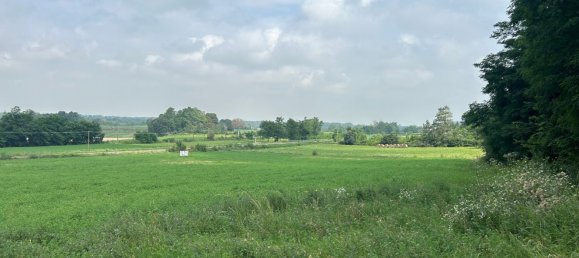 Grundstück in Cassano Spinola, Italy 8230m², Nr. 76430 12