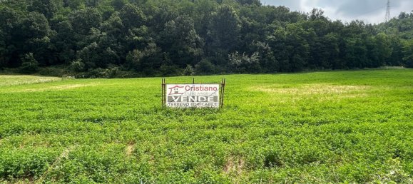 Grundstück in Cassano Spinola, Italy 8230m², Nr. 76430 4