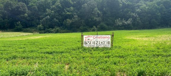 Grundstück in Cassano Spinola, Italy 8230m², Nr. 76430 5