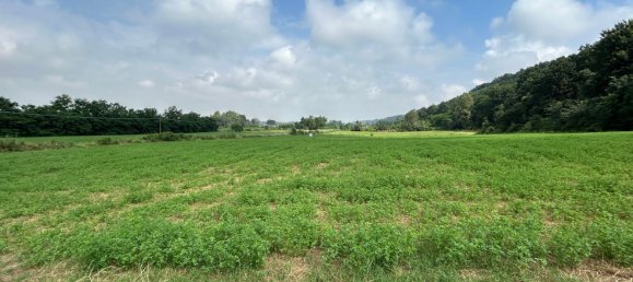 Grundstück in Cassano Spinola, Italy 8230m², Nr. 76430 9