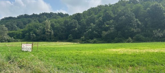 Grundstück in Cassano Spinola, Italy 8230m², Nr. 76430 8