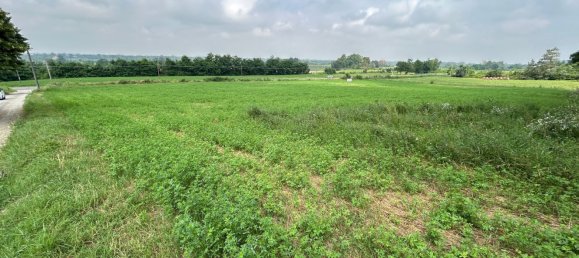 Grundstück in Cassano Spinola, Italy 8230m², Nr. 76430 13