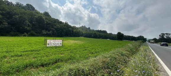 Grundstück in Cassano Spinola, Italy 8230m², Nr. 76430 6