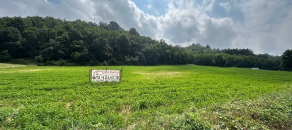 Grundstück in Cassano Spinola, Italy 8230m², Nr. 76430 3