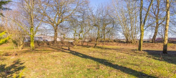 3 rooms Bungalow in Rendsburg-Eckernforde, Germany No. 78611 12