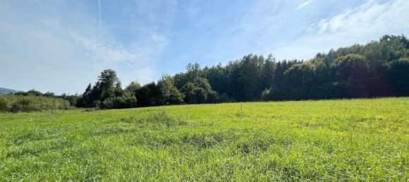  Land in Weiz, Austria No. 238943 2