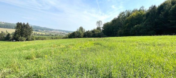  Land in Weiz, Austria No. 238943 4