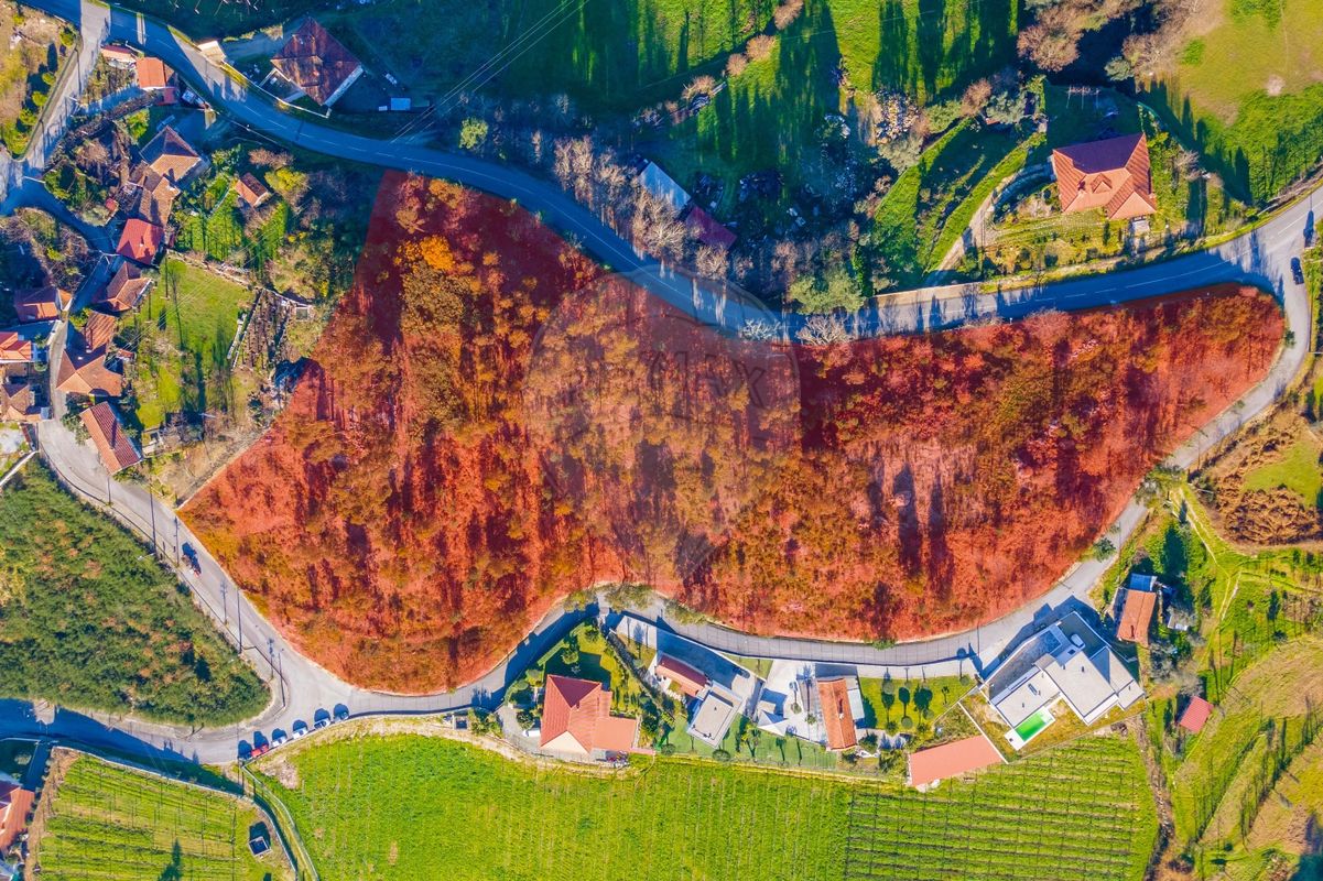 Terrain à Revelhe, Portugal No. 73766