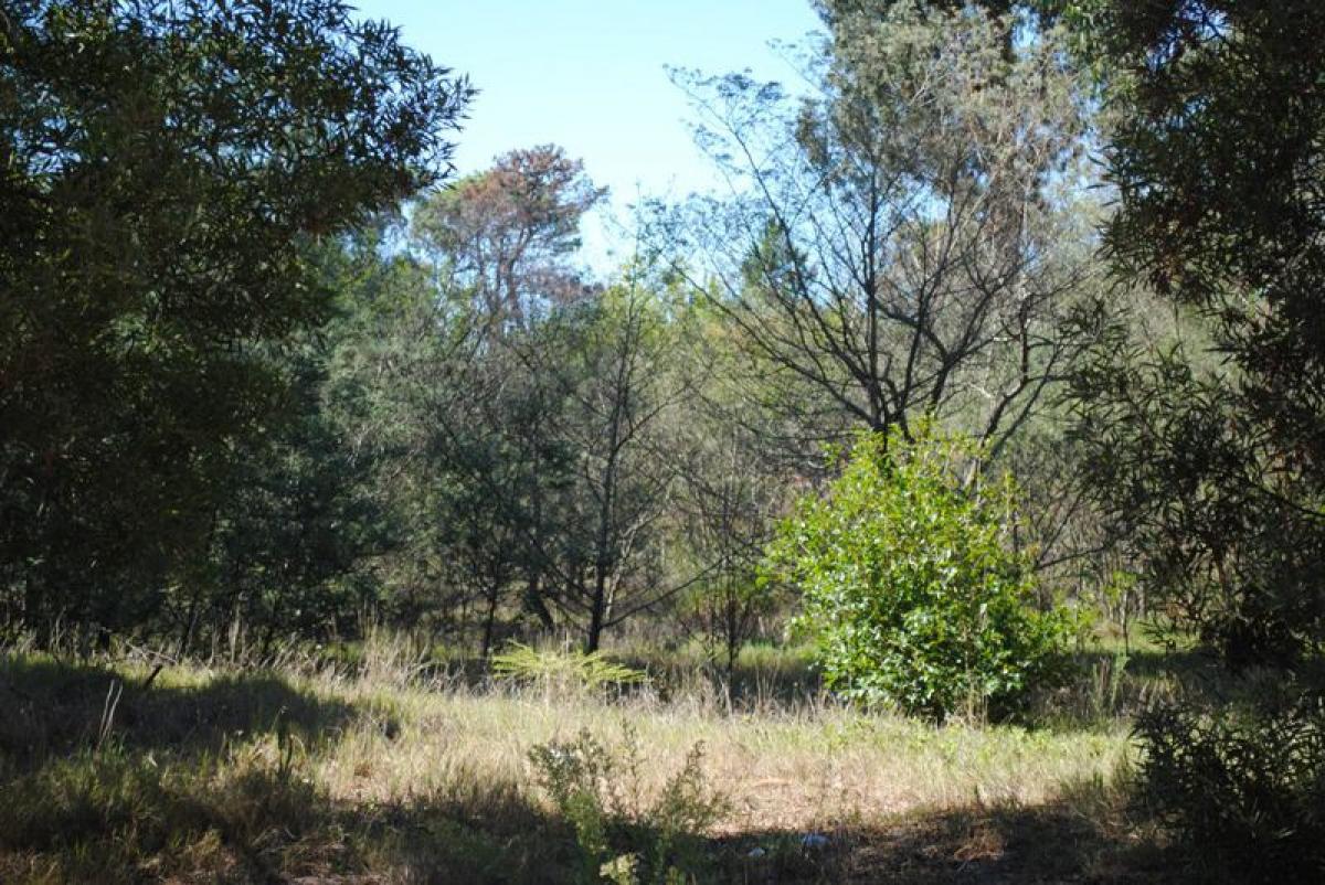  Land in Maldonado, Uruguay No. 15086