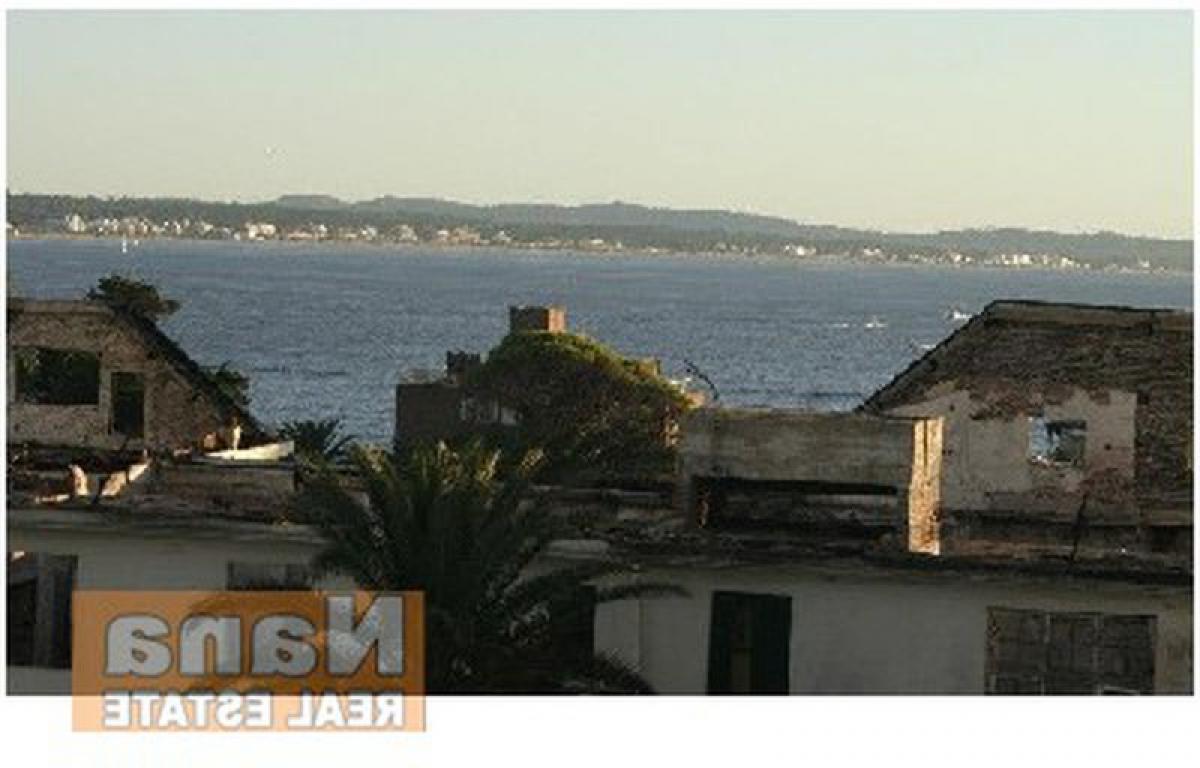 Квартира с 2 спальнями в Мальдонадо, Уругвай № 12628