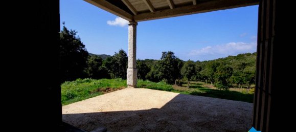 3 chambres Maison à Aglientu, Italy No. 216999 2