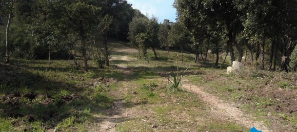 3 chambres Maison à Aglientu, Italy No. 216999 11