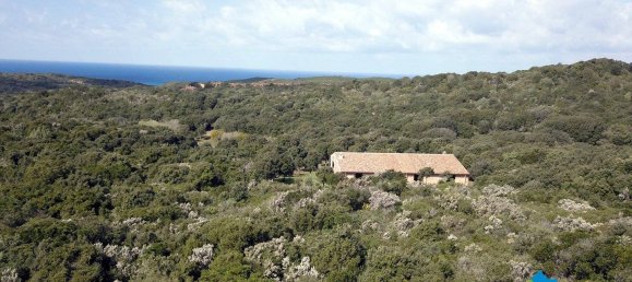 3 chambres Maison à Aglientu, Italy No. 216999 19