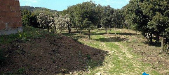 3 chambres Maison à Aglientu, Italy No. 216999 10