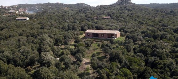 3 chambres Maison à Aglientu, Italy No. 216999 12