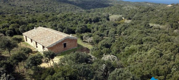 3 chambres Maison à Aglientu, Italy No. 216999 15