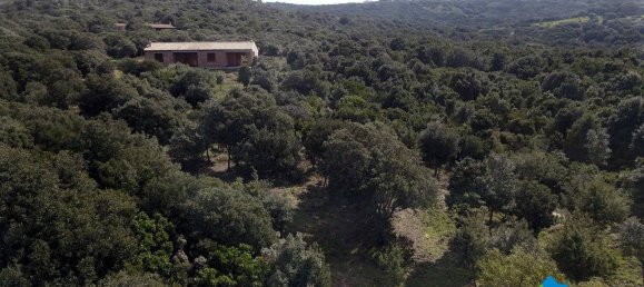 3 chambres Maison à Aglientu, Italy No. 216999 17