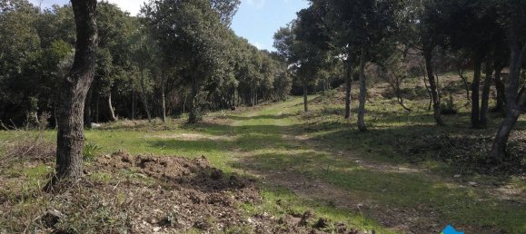 3 chambres Maison à Aglientu, Italy No. 216999 14