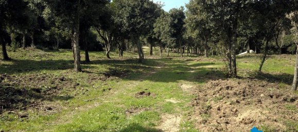 3 chambres Maison à Aglientu, Italy No. 216999 5