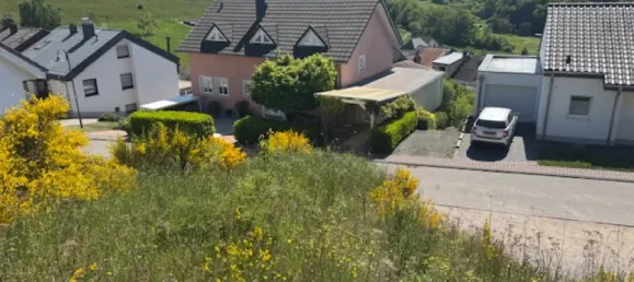 Terrain à Trier-Saarburg, Germany No. 230245 6