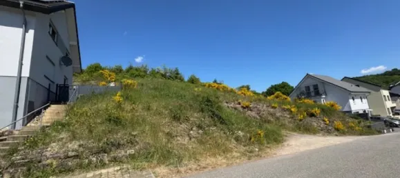 Terrain à Trier-Saarburg, Germany No. 230245 2