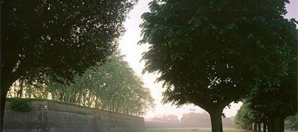 Villa de 10 habitaciónes en Capannori, Italy No. 35699 15