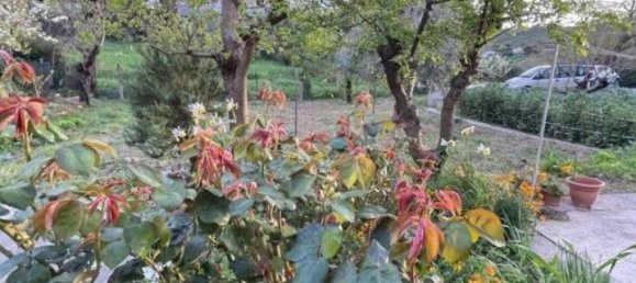 3 rooms Apartment in Ancona, Italy No. 92429 17