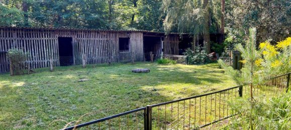 3 rooms Bungalow in Cottbus, Germany No. 347727 4