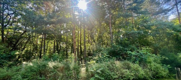 3 rooms Bungalow in Cottbus, Germany No. 347727 3