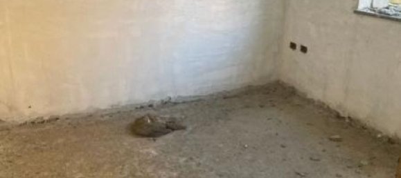 5-Zimmer Wohnung in Villa di Briano, Italy, Nr. 232727 5