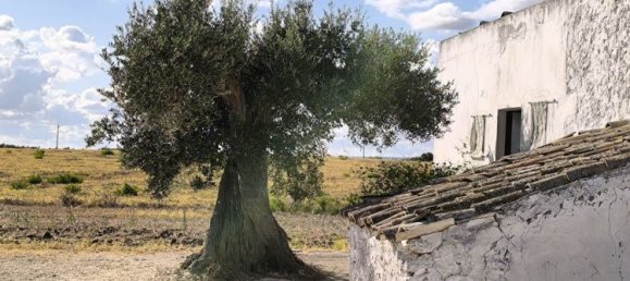 7 rooms Villa in Sciacca, Italy No. 297794 4