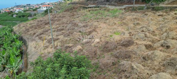 2 Schlafzimmer Villa in Ponta do Sol, Portugal, Nr. 323728 40