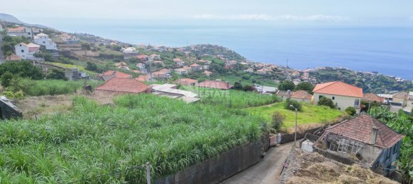 2 Schlafzimmer Villa in Ponta do Sol, Portugal, Nr. 323728 27