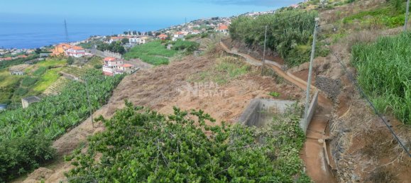 2 Schlafzimmer Villa in Ponta do Sol, Portugal, Nr. 323728 29