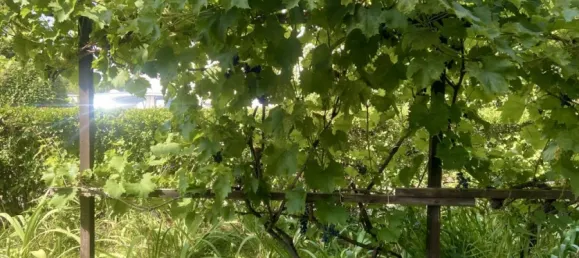 2 bedrooms House in Staaken, Germany No. 12664 25