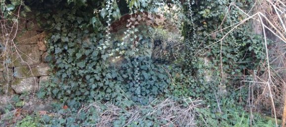 3 bedrooms House in Viseu, Portugal No. 176914 14